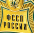 Белгородские судебные приставы взыскали штраф за незаконное использование товарного знака - Сетевое издание Просторы 31