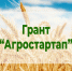 Объявлен конкурс «Агростартап». - Губкинский городской округ