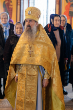 В Неделю 25-ю по Пятидесятнице епископ Софроний совершил Литургию в храме вмч. Димитрия Солунского села Скородное