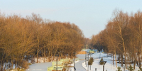Белгородская область вошла в топ-15 рейтинга по качеству жизни - Gubkin.City