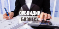 Субсидии на возмещение части затрат субъектов МСП на транспортировку продукции для организации экспортных поставок. - Губкинский городской округ