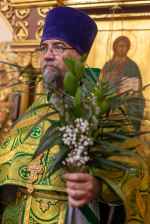 В праздник Входа Господня в Иерусалим епископ Софроний совершил Литургию в храме апостола Иакова города Губкина