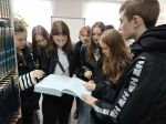 Нажмите, чтобы увеличить