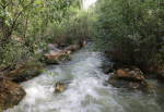 270A7545.JPG