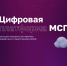 Инструменты для развития отечественных брендов. - Губкинский городской округ