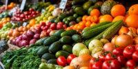 Губкинцы смогут купить свежие и качественные продукты на муниципальных ярмарках - Сетевое издание Новое время 31