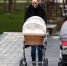Вячеслав Гладков сообщил о выплатах в 300 тыс. рублей 240 молодым многодетным семьям - Сетевое издание Просторы 31