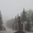 Советы врача: как не впасть в осеннюю депрессию - Gubkin.City