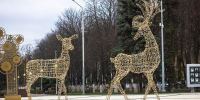 Куда сходить в выходные, 22 и 23 ноября, в Губкине - Gubkin.City