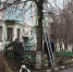 В Губкине вырубают сухие деревья - Gubkin.City