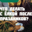 Куда выбросить новогоднее дерево?. - Губкинский городской округ