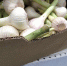 Советы врача: топ продуктов для поддержки иммунитета - Gubkin.City