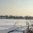 Крещенские купания. - Губкинский городской округ