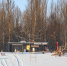 Куда сходить в выходные, 24 и 25 января, в Губкине - Gubkin.City