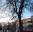 Резкое потепление ждёт Губкин в последнюю неделю января - Gubkin.City