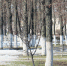 В выходные погода в Губкине улучшится - Gubkin.City