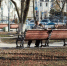 Белгородские эксперты смогут принять участие в оценке инициатив участников конкурса «Моя страна – мо - Сетевое издание Новое время 31