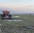 Губкинкие аграрии вышли в поля - Gubkin.City