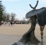 Куда сходить в выходные, 4 и 5 апреля, в Губкине - Gubkin.City