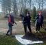Жители Губкинского городского округа принимают  активное участие в субботниках - Сетевое издание Просторы 31