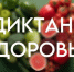 «Примите участие во Всероссийском социальном проекте «Диктант здоровья» - Губкинская ТПП